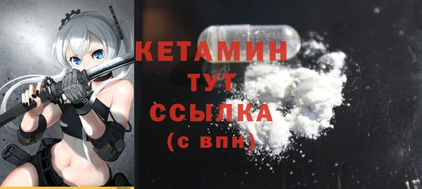 тгк Дмитриев