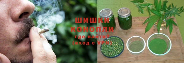 тгк Дмитровск