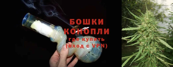 тгк Дмитриев