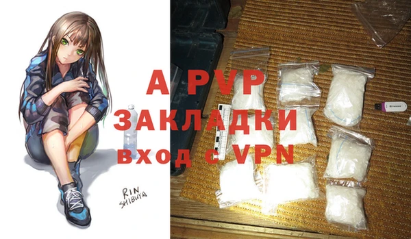 тгк Дмитриев