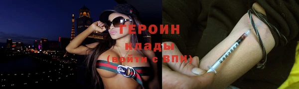 тгк Дмитриев