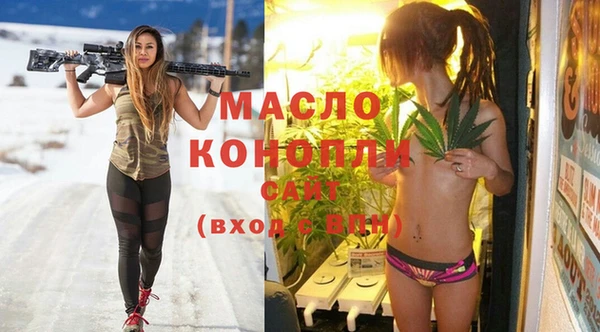тгк Дмитриев