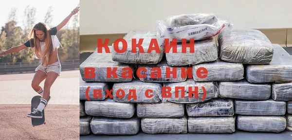 тгк Дмитриев