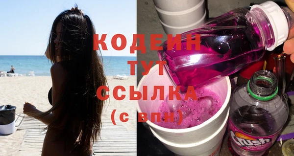 тгк Дмитриев
