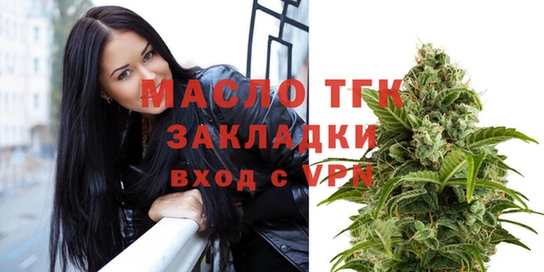 тгк Дмитриев