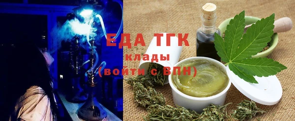 тгк Дмитриев
