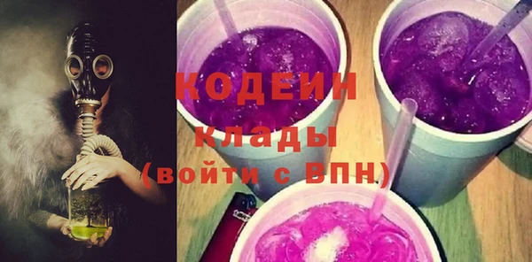 тгк Дмитриев