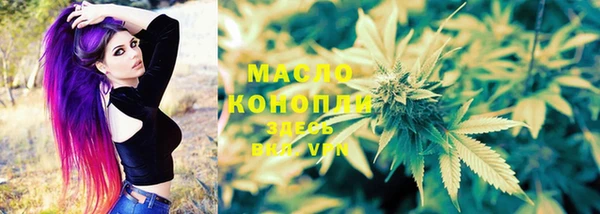 тгк Дмитриев
