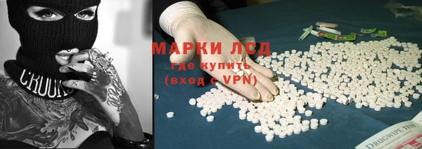 тгк Дмитриев