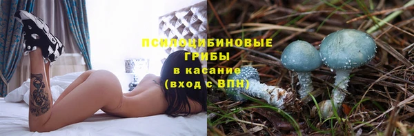 тгк Дмитровск
