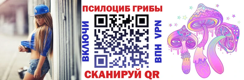 Купить где  Арск  Псилоцибиновые грибы Psilocybine cubensis 